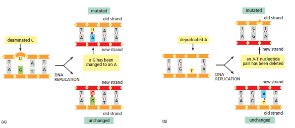 Figure 5-40.png